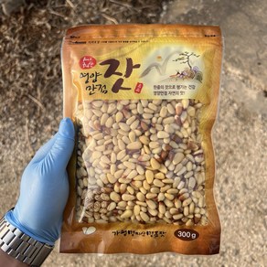 2024년 가평잣 국산잣 햇잣 생잣 300g, 1개, 황잣