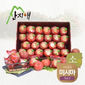 산지애 씻어나온 어린이 꿀사과 5kg 1box 봉지 세척사과 당도선별 12brix