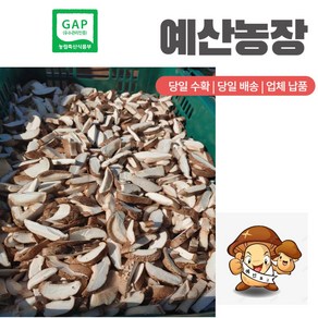 GAP인증 [산지직송] 자연그대로담은 말린 마른 건표고버섯 (슬라이스) 다시용 국물용 육수용 김장용 재료 5+3 /8+5, 200g, 2봉지 400g, 2개