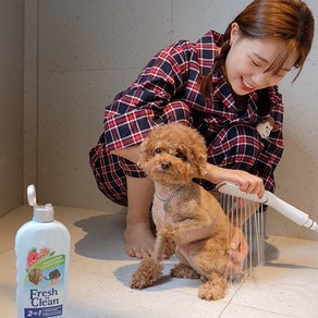 애견샴푸 고양이 강아지 약용샴푸 천연샴푸 린스 푸들 말티즈 비숑, 6-7.체리쉬 - 전견용 샴푸, 1개, 750ml