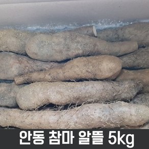 안동참마 알뜰 5kg 24년 햇마 (모양 예쁜 깎기편한상품)