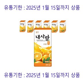 늘푸르다 내사랑 오렌지 + 포도 드링크팩, 185ml, 24개