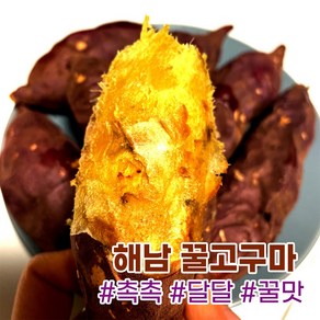 렛츠팜 해남 꿀고구마 베니하루카 3kg 5kg 산지직송, 꿀고구마(세척) 한입3kg, 1박스