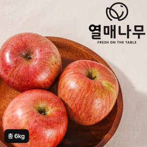 열매나무 햇 못난이 부사사과 3kg+3kg(총 6kg), 2개