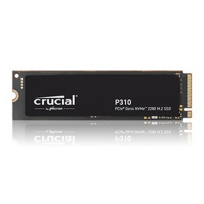 마이크론 Cucial P310 M.2 NVMe 아스크텍, 1TB