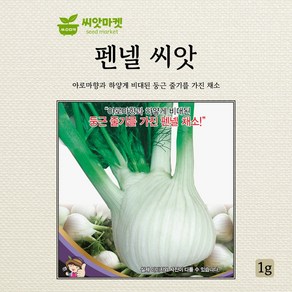 세계종묘 펜넬 씨앗 1g, 1개