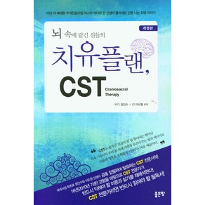 뇌 속에 담긴 신들의 치유플랜 CST:16년차 베테랑 두개천골요법 마스터 비디와 칸 선생이 풀어내는 신명 나는 치유 이야기, 좋은땅, 뇌 속에 담긴 신들의 치유플랜, CST, 정인수, 이도형(저)