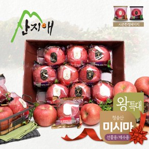 산지애 씻어나온 꿀사과 4kg 1box 왕특대과 미시마, 1개