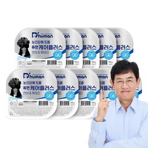 듀먼 케어플러스 화식 눈건강 연어&루테인 10팩 / 강아지 사료 화식 습식, 10개, 50g