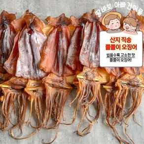 [산지 직송] 국내산 굽지 않고 바로 먹는 고소하고 쫄깃한 삼천포 쫄쫄이 오징어, 1개, 300g (6-10미)
