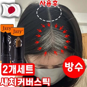 [완벽커버] 새치커버 스틱 흰머리 커버 스틱 헤어틴트 부분염색 헤어 라인 커버 워터프루프 헤어 염색 스틱 사은품 랜덤증정, 1개, 01블랙+02브라운