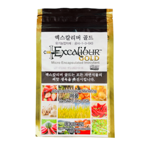 엑스칼리버골드 30g 볍씨 마늘 감자 종자 소독 발근제 FA100 흥농4종세트 사은품 계량수저, 1개