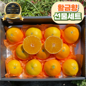 [프리미엄] 선물세트 고당도 황금향 산지직송, 1개, 5kg