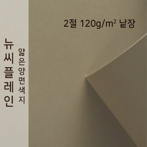 뉴씨플레인 종이문화 얇은 양면색지 120g 2절 낱장 1매 No.57 황회, 1장