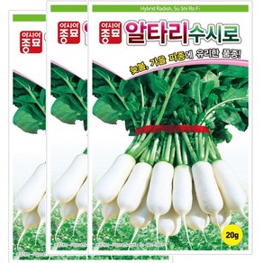 아시아종묘 씨앗 알타리무 수시로 20g 3ea