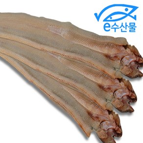 마산어시장 손질한 말린장어 3마리 국산 마른장어 마른 바다장어 반건조장어 대 조림 구이용