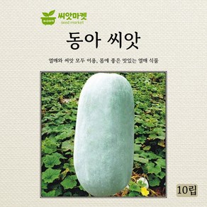 아람종묘 동아 씨앗 10립, 1개