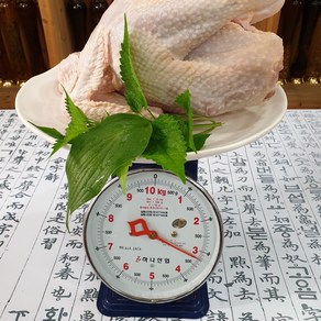 산약초이야기 토종닭백숙 장닭 숫닭 토종닭 2kg 산양산삼세트, 1개, 2.7kg