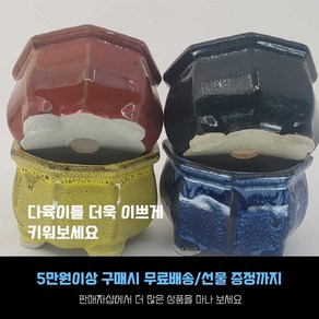 다육 다육화분 - 컬러화분 4개세트, SM-010 컬러화분 4종세트, 1개