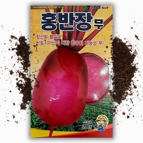 적무 씨앗(200립) 빨간무, 1개