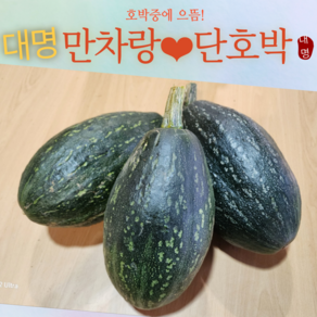 만차랑단호박 호박의 왕 남도땅 나주 단맛의 으뜸 10kg 5kg 청정지역 황토땅 재배