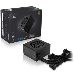 FSP VITA GD 750W 80PLUS GOLD ATX3.1 (PCIe5.1) 파워서플라이