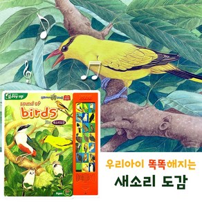 새소리도감 사운드북 유아동 교육 학습 새 공부, 단품