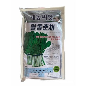 대용량 월동춘채 하루나 씨앗 500g 겨울초씨앗