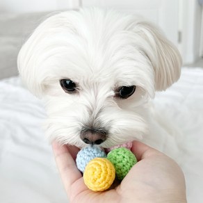 [온리스티치] 강아지 고양이 뜨개 미니공 이갈이 치석제거 장난감 치발기, 1개