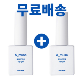 [더네일샵] 에이뮤즈 글리밍탑젤 에이미니탑젤, 2개, 10ml