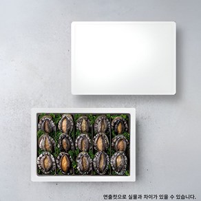청해거상 건강의 섬 완도 활전복 선물세트3호1kg(15미), 1개