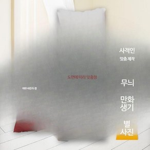 원신 베개 쿠션 굿즈 호두 파이몬 캐릭터 감우 푸리나, 5_그림 4, 1개