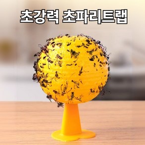 벤가디 완전박멸 초파리 트랩 날파리 나방파리 끈끈이