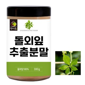 돌외잎 추출물 분말 가루 300g 돌외잎차, 1개