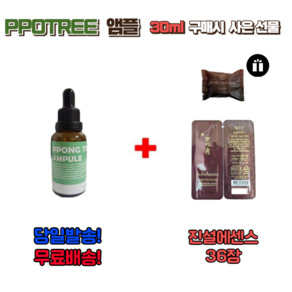 PPONG TREE 30ml 앰플(NEW) 1개 구매시 설화수 샘플 진설에센스 36장 지일비누 서비스, 10ml, 3개