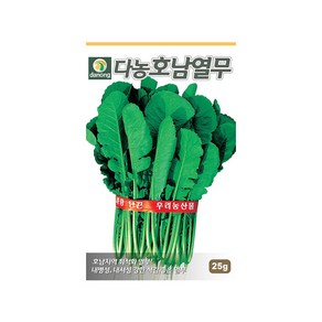 (DN) 호남열무 씨앗(25g), 1개