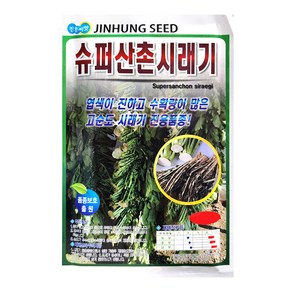 슈퍼산촌시래기무 20g 시래기무씨앗 김장씨앗 진흥 24년, 1개