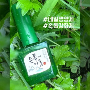 모스티브 네일케어 손톱에이슬 손톱영양제 12ml+오일스틱증정 네일하드너 네일영양제 손톱영양제 젤영양제, 12ml, 1개