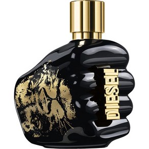 일본직발송 6. DIESEL(ディーゼル) 디젤 스피릿 오브 더 브레이브 EDT 스프레이 125ML B07RSZ99D7, One Size, 1개