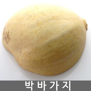 박바가지 함바가지 깨는바가지 박 호롱박 액막이 조롱박 함들이 결혼 이사 개업 액땜 장식, 1개