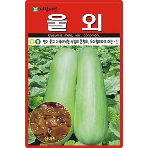 아람종묘 울외 씨앗 20립, 1개