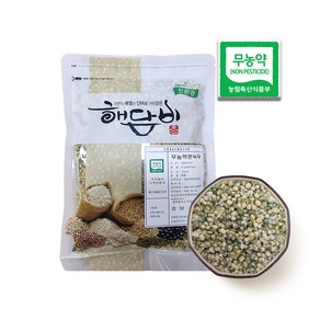 국내산 무농약깐녹두 500g (2023년산), 1개