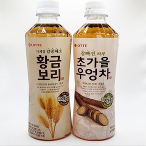 롯데칠성 초가을우엉차 500ml 12개 + 황금보리 12개, 1세트