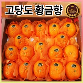 시즌앤홈 제주 고당도 산지직송 프리미엄 레드향 3kg 5kg 제주도 과일 명절 설날 선물 세트, 레드향 가정용 3kg, 1박스, (7-16과)