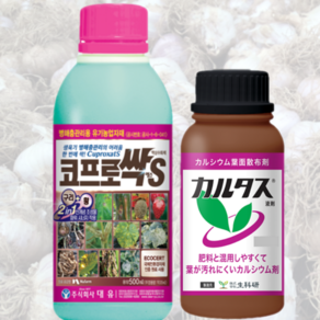 대유 코프로싹 + 카르타스 칼슘 마늘 잎마름병 잎마름증 예방, 1개, 500ml