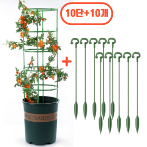 꿈알상점 식물 화초 화분 지지대 지주대 (원형 + 오링 17cm), 20개