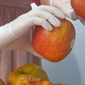 (정품엔비입금완료)엔비사과 정품 envy 홍로 예산사과 18브릭스 소포장 2kg 맛있는사과, 시나노골드, 1개