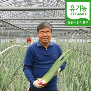 (자연마을) 유기농 거제 식용 생알로에 베라 3kg 5kg