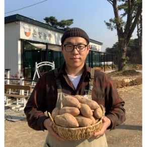 은일농장 강화 속노랑고구마 3kg 5kg 10kg 은일농장 직접 재배한 강화도 호박고구마