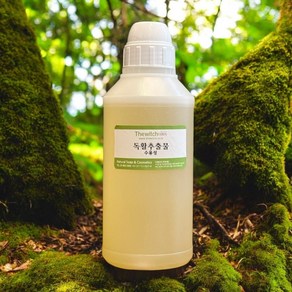 [더위치] 독활추출물 500ml 땅두릅추출물 Aalia Codata Extact, 1개